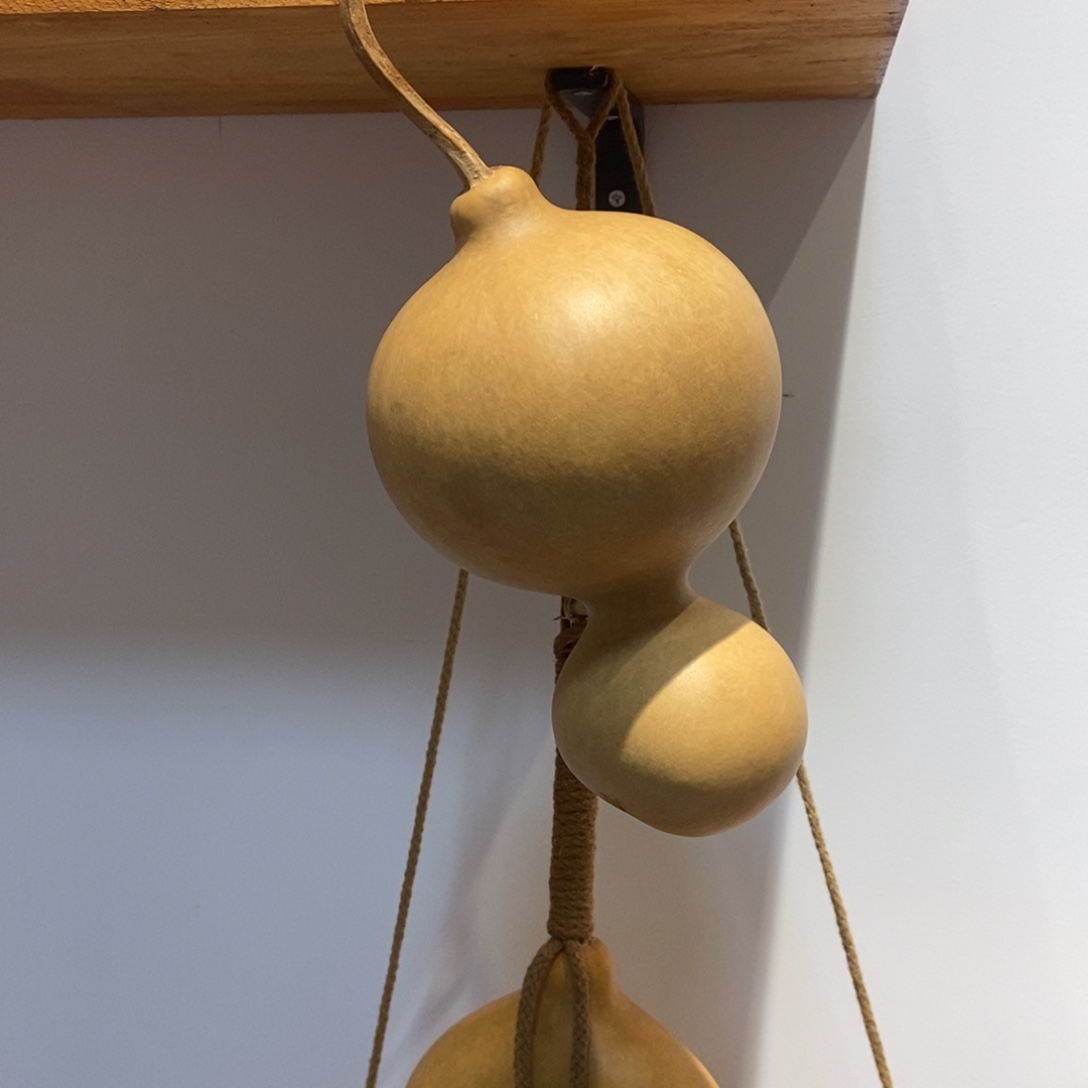 梧***桐哈哈哈哈哈哈哈哈哈