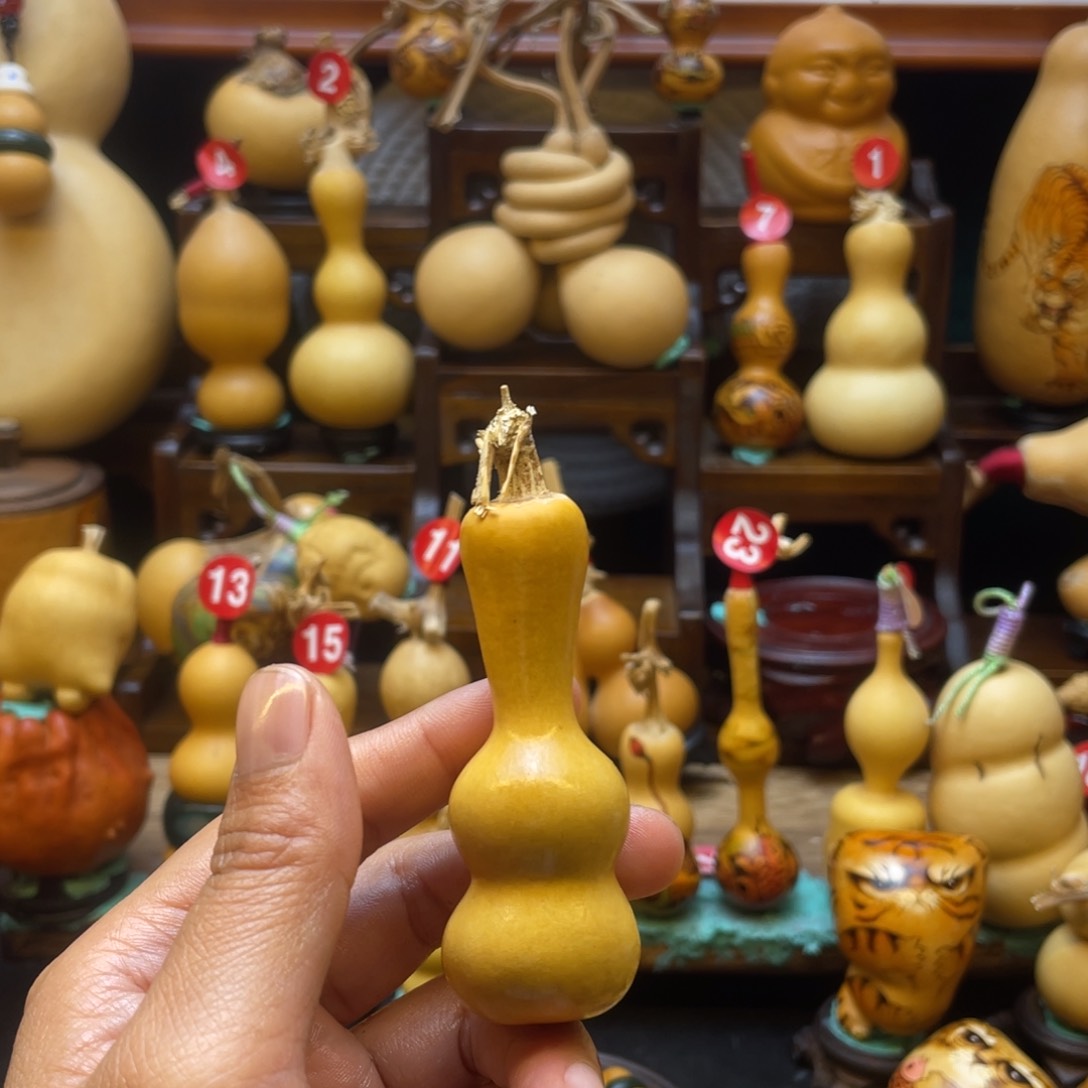 梧**语葫芦等多种颜色的花鸟画作品在