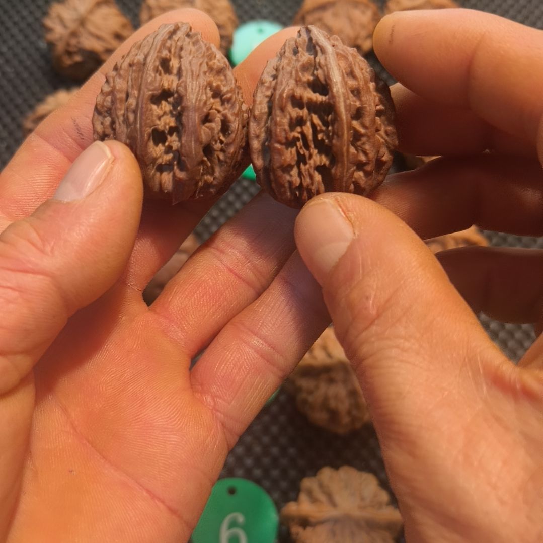 M***生吊坠文玩核桃灯笼鹰嘴半壁文玩核桃