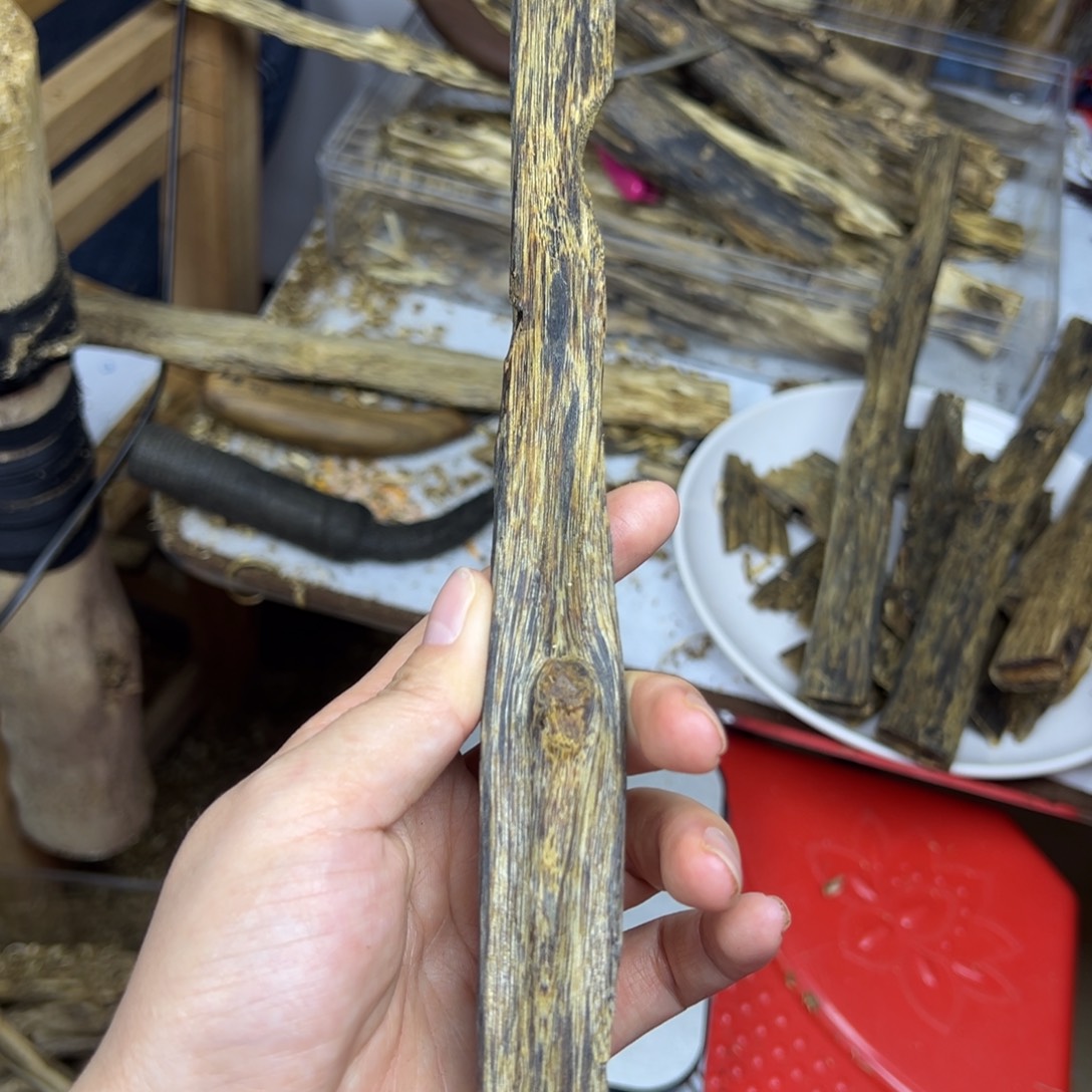 线香奇楠虫漏香45克