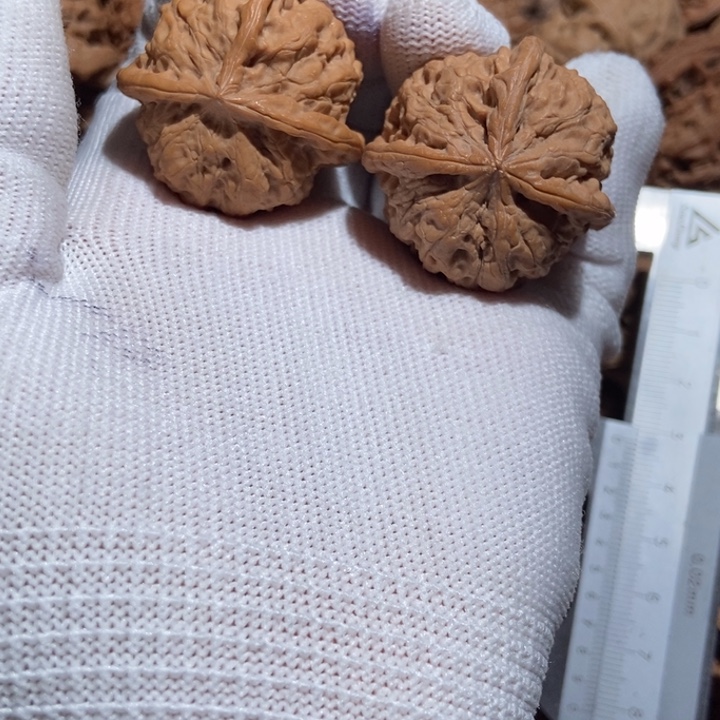 H***葵核桃雨花石三棱尺寸36有一只钢丝刷了