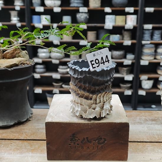 瓷素八九陶瓷内口9.5高10