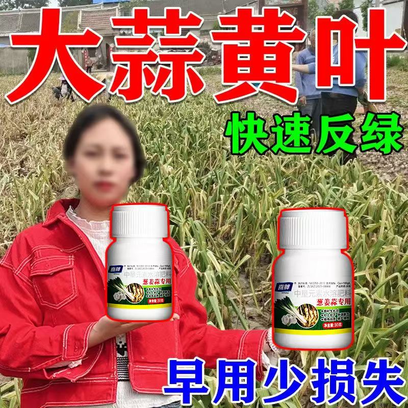 大蒜专用药大蒜病全治黄叶干尖蒜苗专用叶面肥