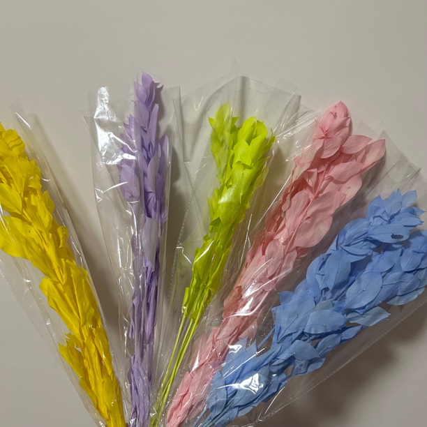 永生花桔叶大叶片粗枝干平整不皱用于居家插花装饰仿真花粉色紫色