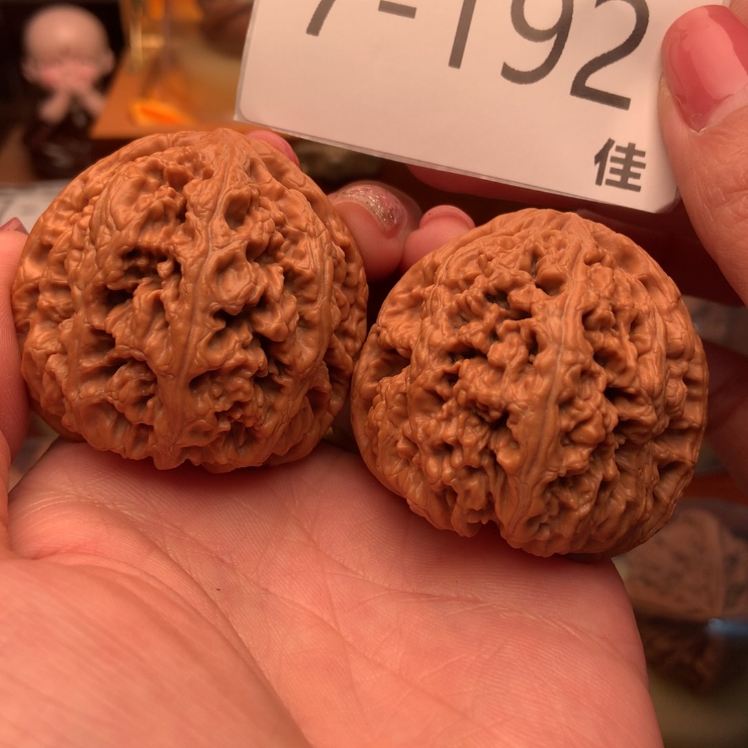 文玩核桃把件44粗筋 