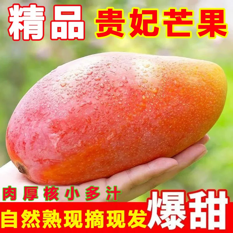 海南贵妃芒新鲜水果树上熟当季热带现摘香甜多汁解渴