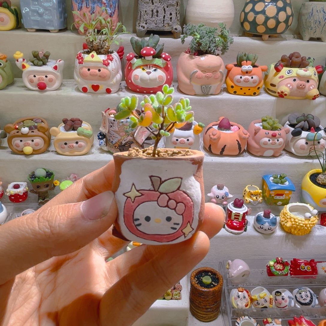 Z*zZ宝专属折扣链接拍拍