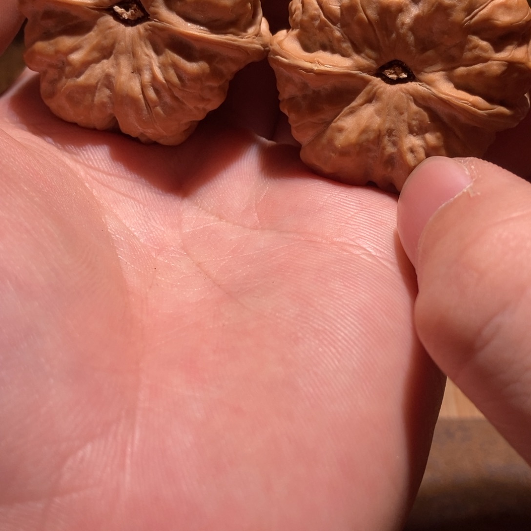 知***命文玩核桃吊坠蛤蟆头D16