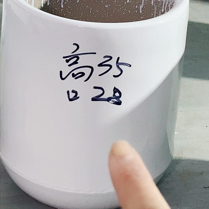 陶瓷陶瓷大花盆福袋大号