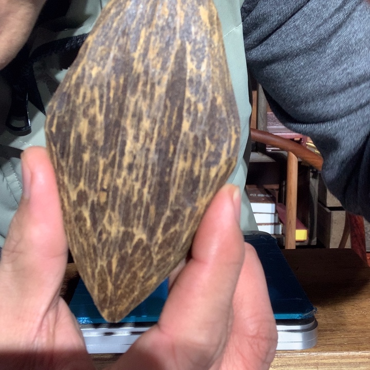 大果紫檀（缅甸花梨）山*275