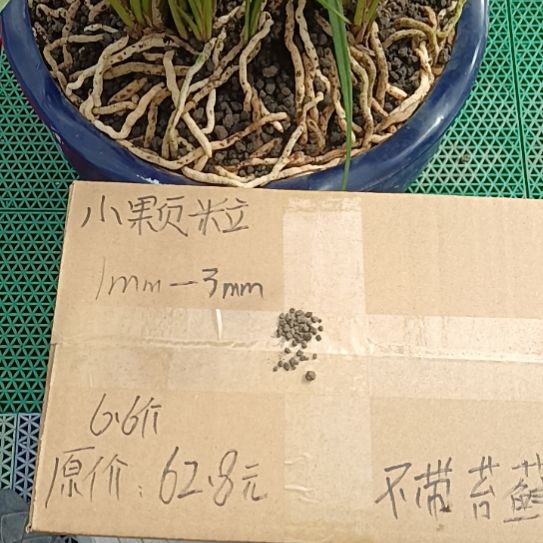 路***过兰菌黑山土小颗粒6.6斤