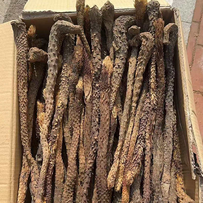 正品新疆大芸肉苁蓉切片中药材整根干货油性野外生长多年老货泡酒