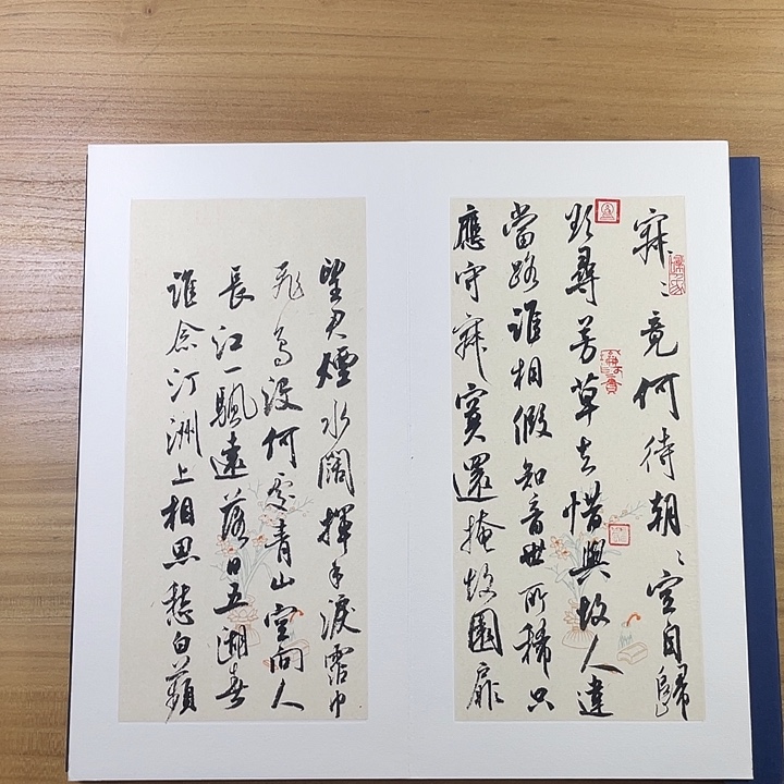 书法中书协会员作品