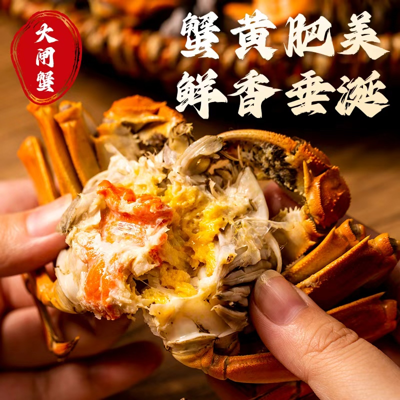 【活蟹】江苏大闸蟹金标全公蟹6.0-5.7两加2只到手10只装包邮D