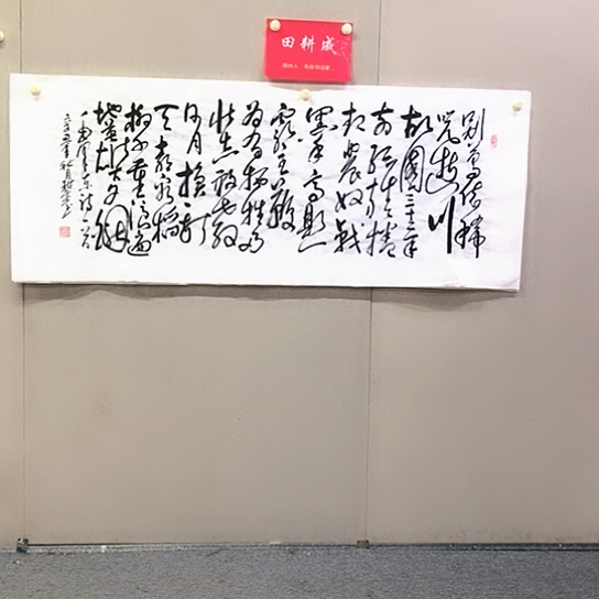 书法田耕成书法作品欣赏