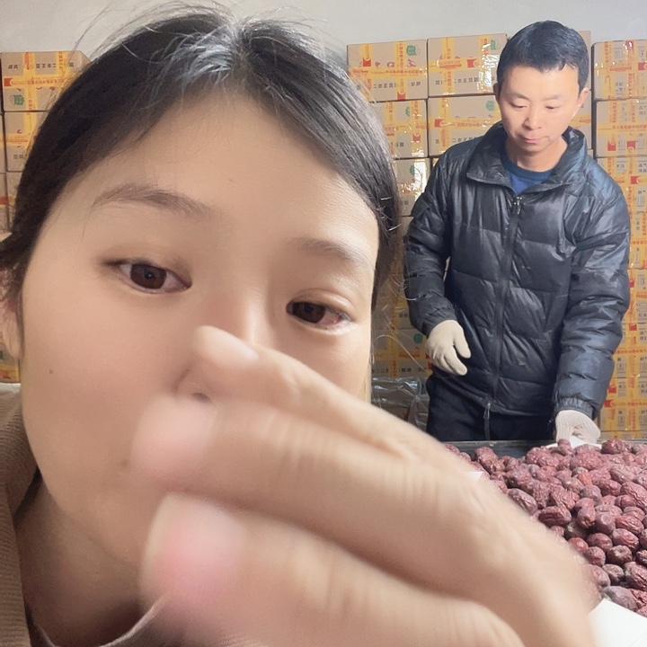 大***亮和田大枣红枣树苗一棵