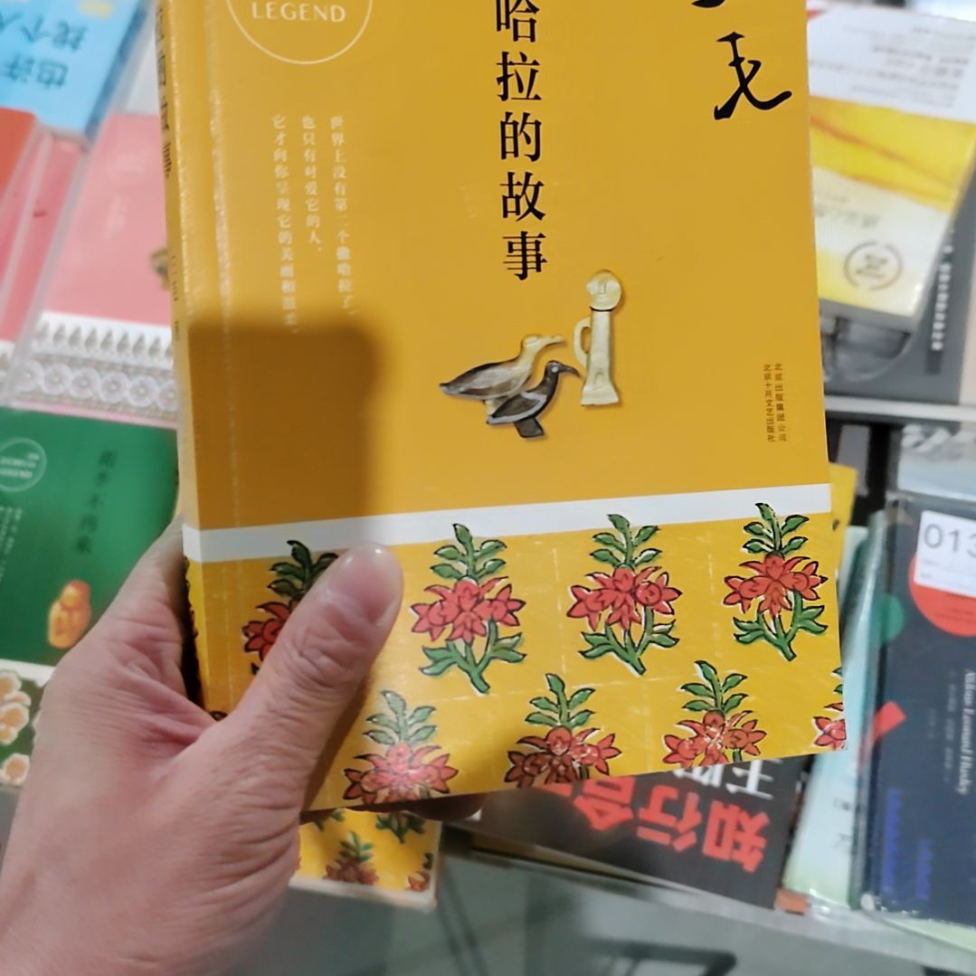 三毛撒哈拉的故事