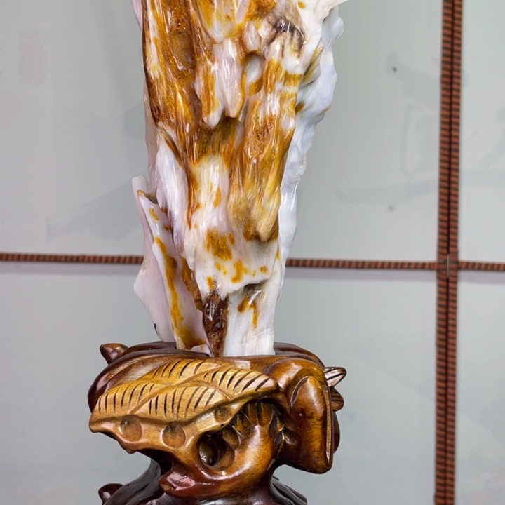 硅化玉未镶嵌珠宝奇石高30