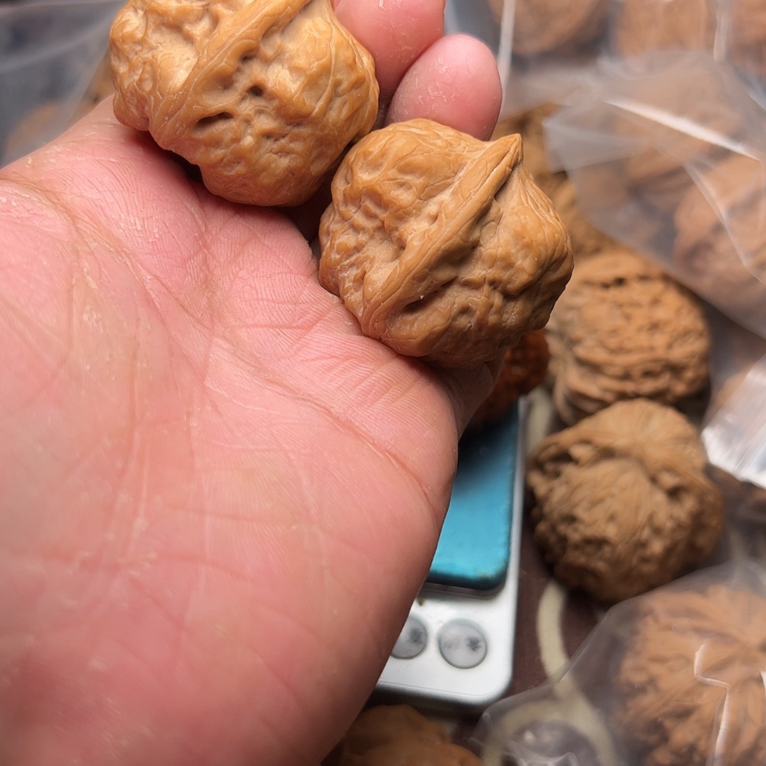 天***秋文玩核桃老树古蝉