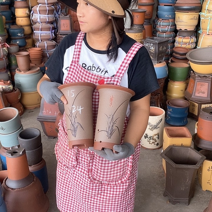 紫砂花盆盆栽花卉种植