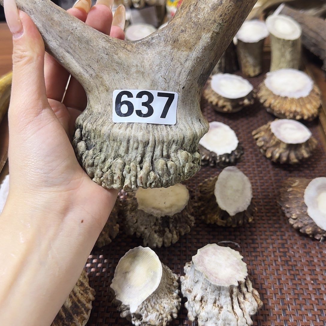 鹿骨手串/手链马鹿怪角