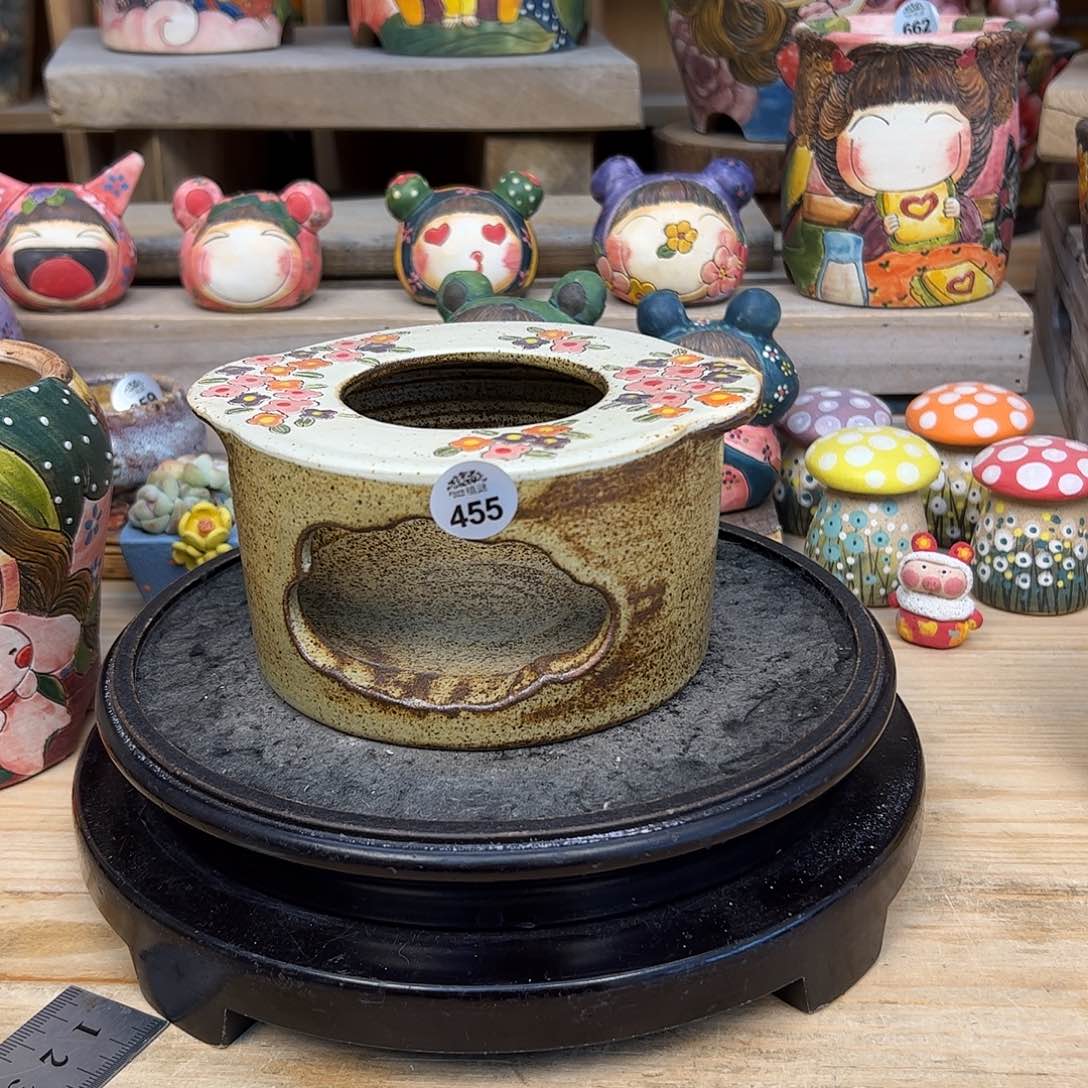 无铅玻璃?***×455福利达尔