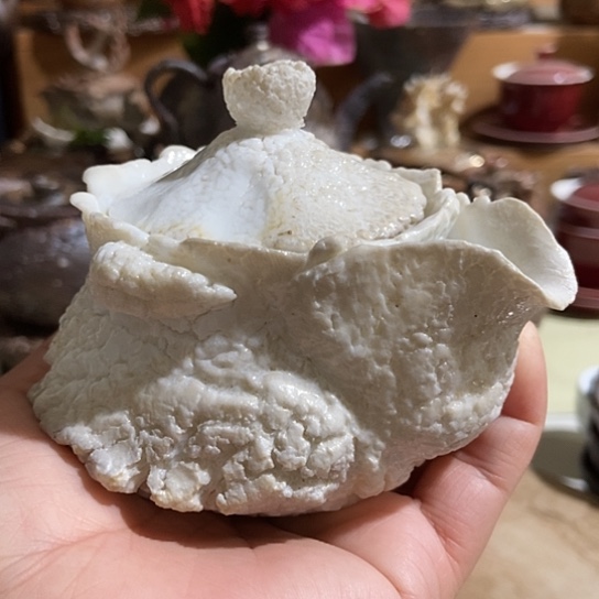 杯宝瓶柴烧裸烧手作品