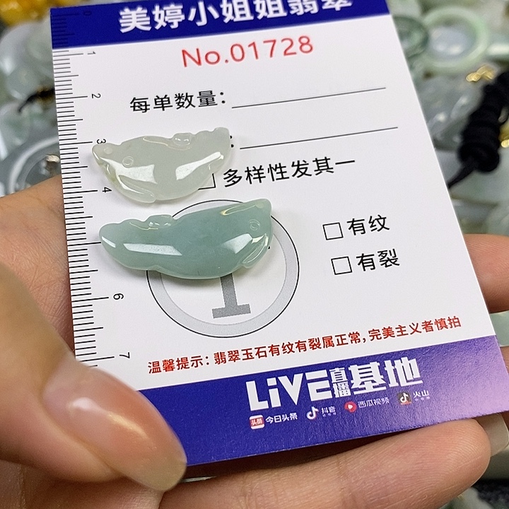 翡翠未镶嵌颈饰翡翠