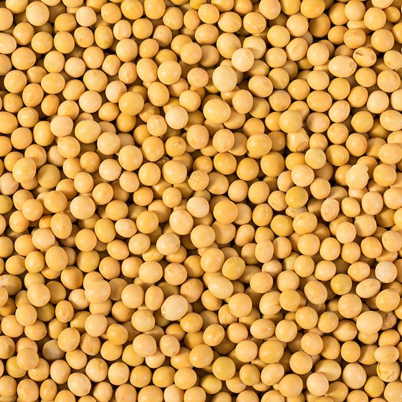 云南老酸汤豆腐做无烟豆腐干