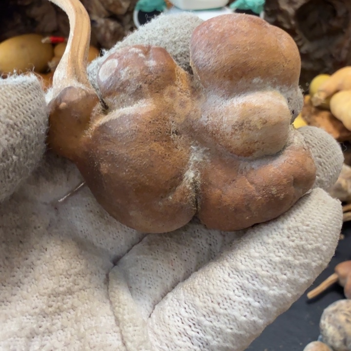 心***安66666666777777778889