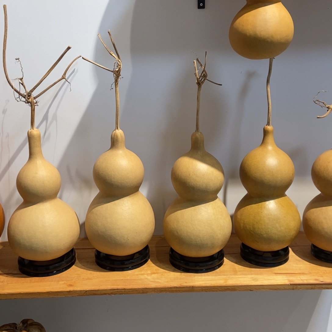 暴***富哈哈哈哈哈哈哈哈哈