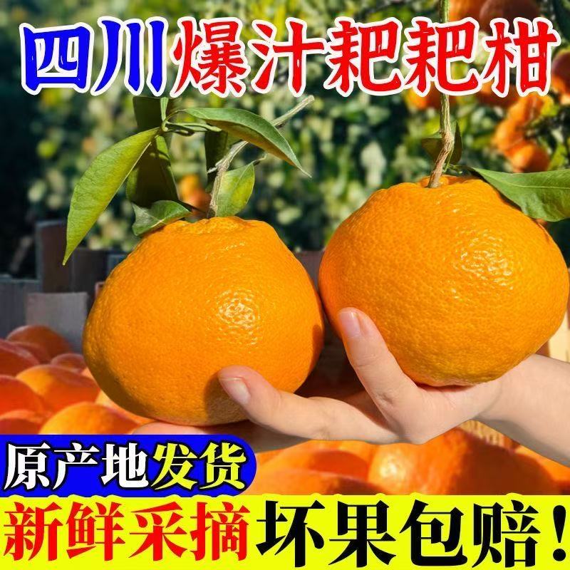 四川耙耙柑新鲜应季水果香甜多汁爽口细腻自然熟