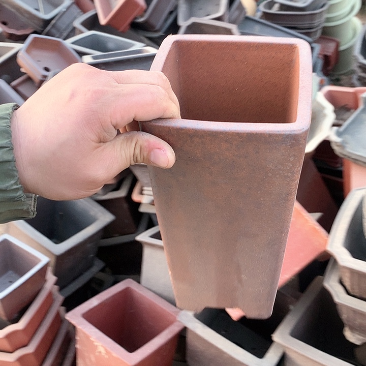 紫砂没有那么好吃我的