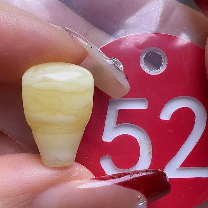 蜜蜡未镶嵌珠宝奇石微花粉10.7mm白蜡虎皮三通