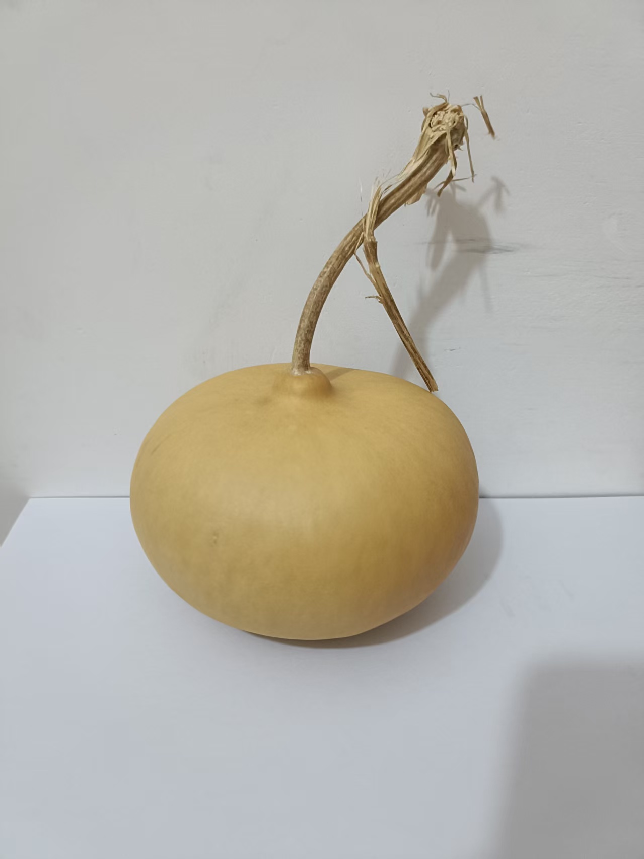 天然葫芦直播间专享一号链接  一物一拍  实物与图片不符