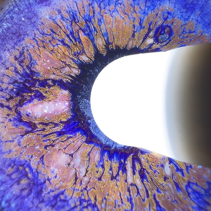 茶盏建窑建盏茶器496