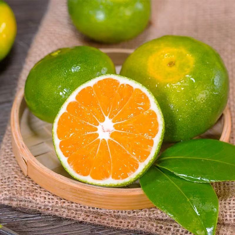 ［山货出山］湖北高山蜜桔青黄皮无籽汁水饱满桔子橘子应季水果清甜