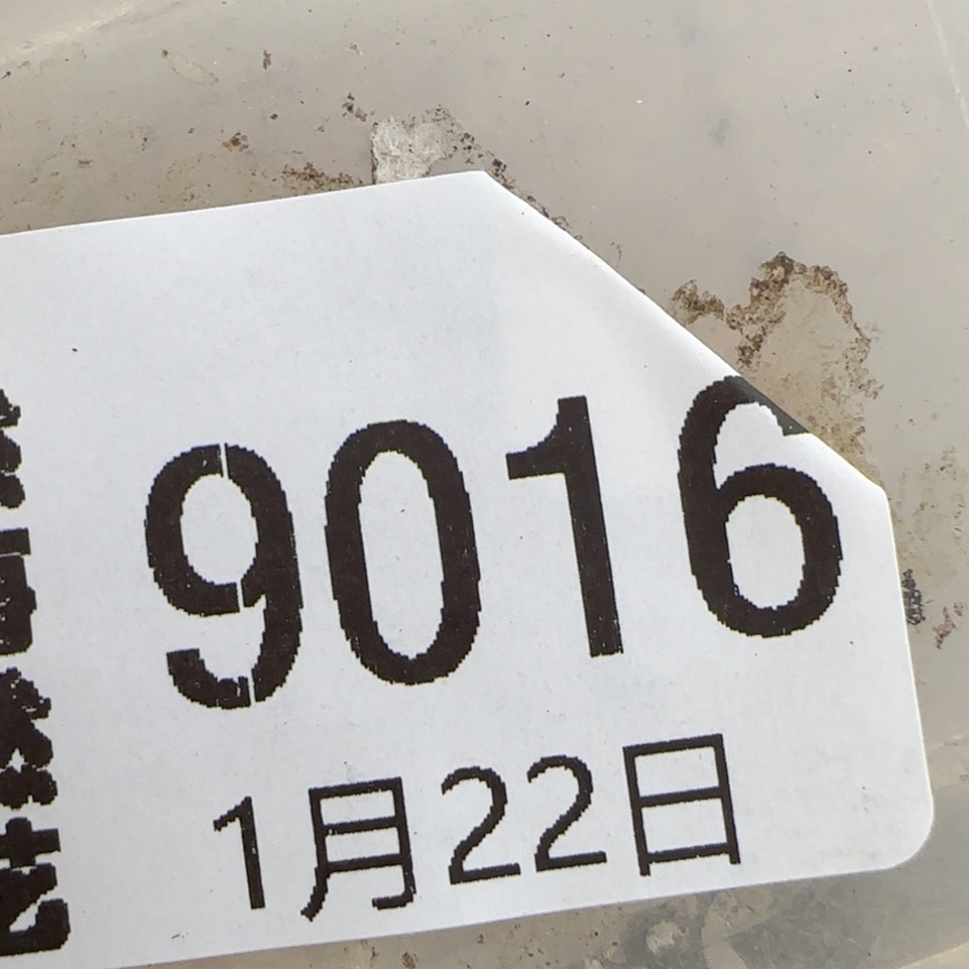 尘**素1.22，高尔夫，上播福利，9016