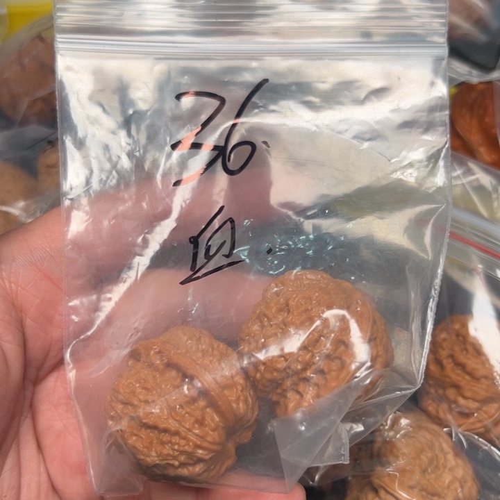 核桃白***1血麒麟，36，已打底