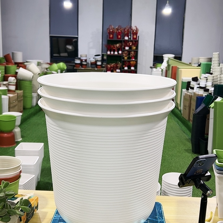 正品高陶口36高36白色2只无托