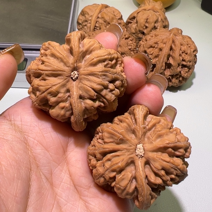 鑫***玉文玩核桃把件45大粗筋