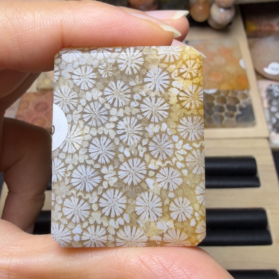 硅化玉未镶嵌全透清晰立体满花