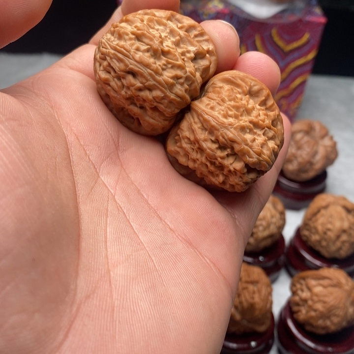 把件文玩核桃38白狮子