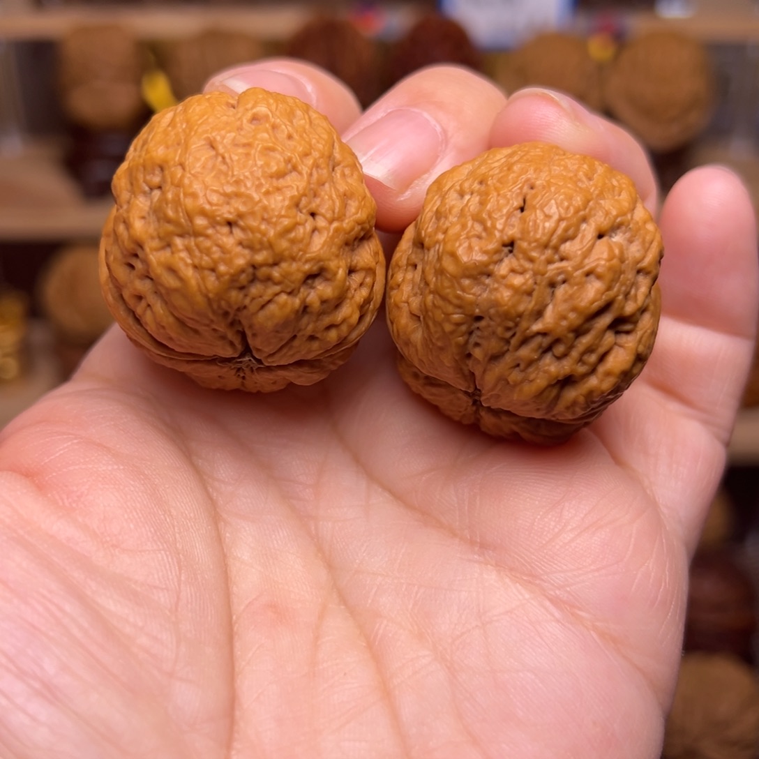 文玩核桃把件9w元宝蟾37尺