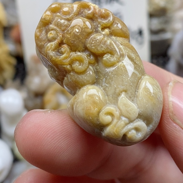 颈饰未镶嵌硅化珊瑚（珊瑚玉）