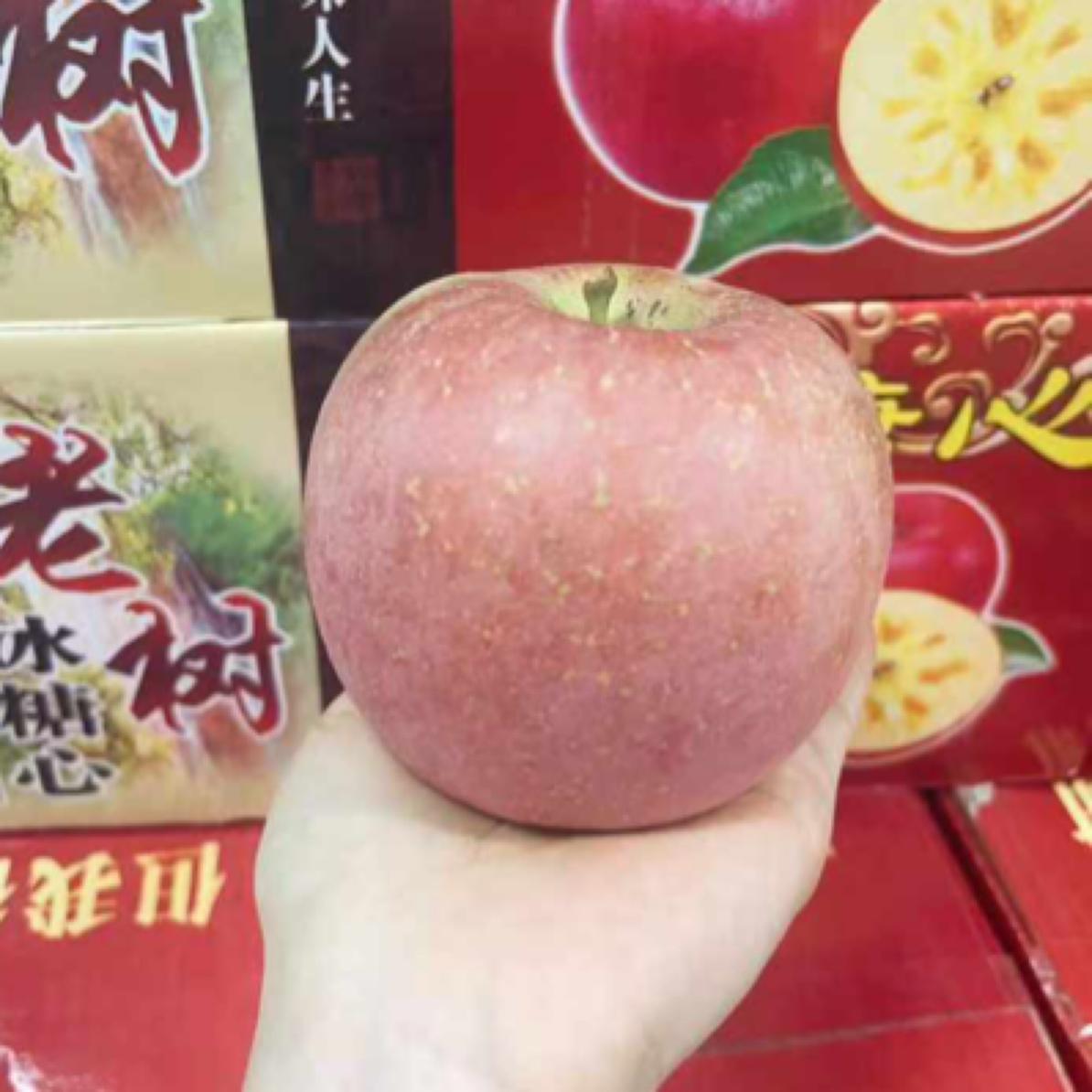 老树冰糖心苹果（毛重约10斤）