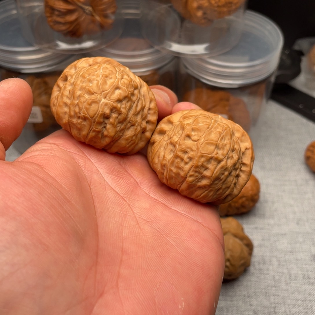 文玩核桃把件痞**린全品南瓜