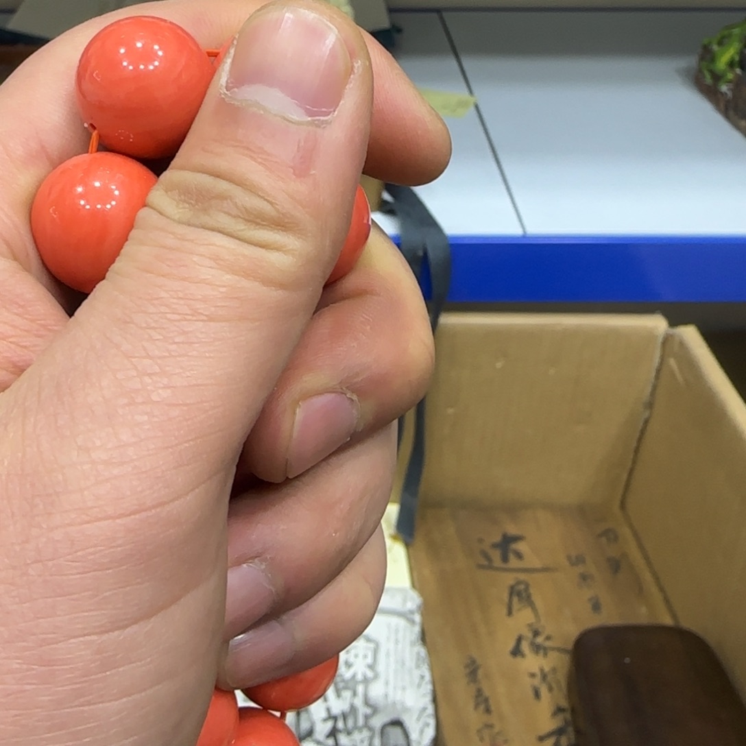 茶宠我们的生活是这样的