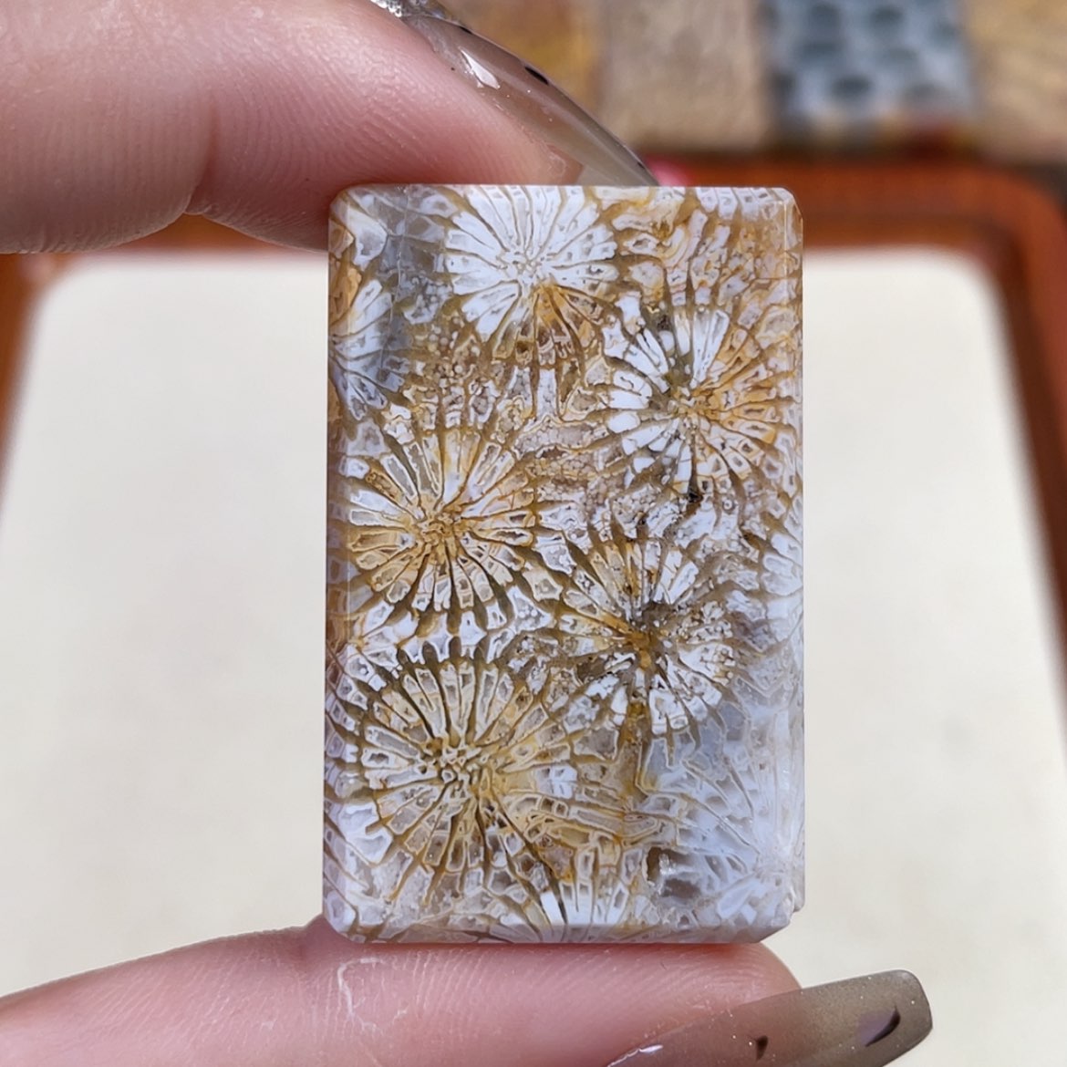 【闪购商品】硅化玉吊坠(赠链)未镶嵌