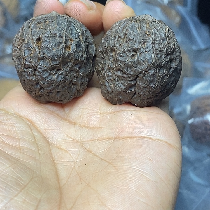 把件文玩核桃云南铁核桃基地45